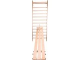 Wall Bars Bench inSPORTline Dremar 200 x 36 cm