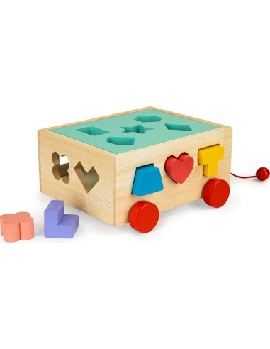 Medinis rūšiavimo vežimėlis su kaladėlėmis Ecotoys