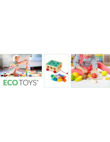 Medinis rūšiavimo vežimėlis su kaladėlėmis Ecotoys